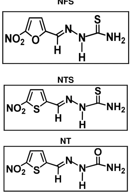 Figura 8-  Análogos de NF. 