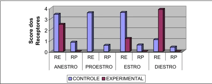 Gráfico 3 - Média dos scores proporcionais de RP4 e RE-D no epitélio vaginal das  cadelas dos grupos experimental e controle nas fases do ciclo estral