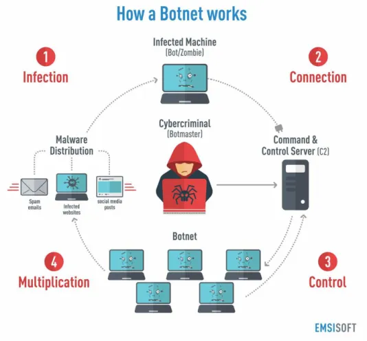 Figura 1 – Funcionamento de uma botnet. Extraído de Haylee (2017).