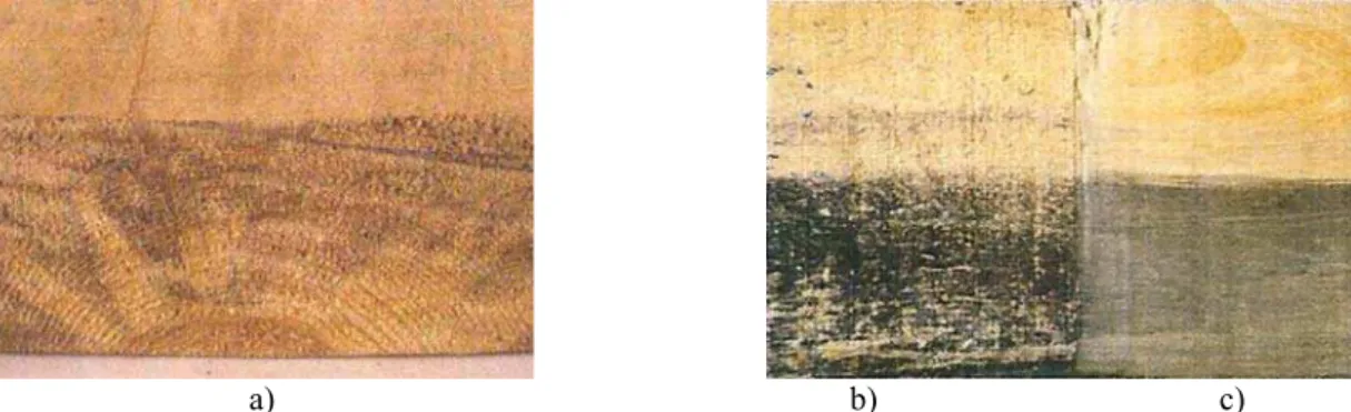 Figura 3.8. a) Características visuais de seção transversal de madeira atacada por fungos manchadores  cromogéneos, ARRIAGA et al (2002); b) aspecto macroscópico de madeira atacada por fungos manchadores na  superficie, Foto: Sérgio Brazolin, em LELIS et a