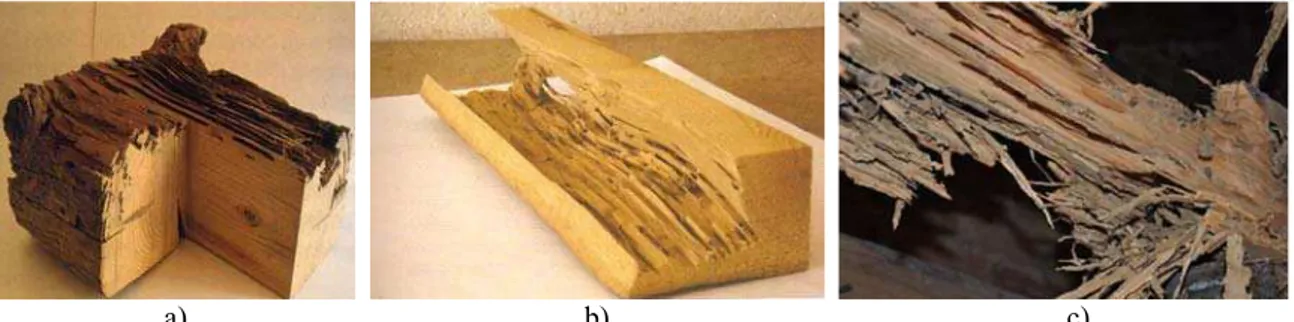 Figura 3.15. Características visuais de diagnóstico de deteriorações em madeira resultantes de ataque por  térmitas: a) ataque externo, SÁNCHEZ (2001); b) ataque interno, ARRIAGA et al (2002); c) seção de viga de  madeira quase completamente deteriorada po