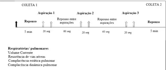 Figura  1.  Procedimento da  coleta  de  dados.