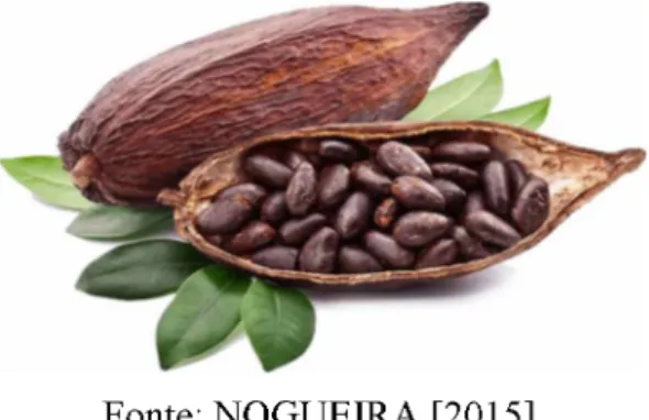 Figura 1. Cacau espécie Theobrama  cacao