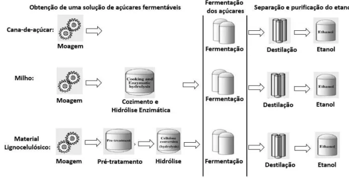 Figura  1.3-Produção  de  etanol  a  partir  da  cana-de-açúcar,  milho  e  material  lignocelulósico (adaptado de MUSSATO et al., 2010)