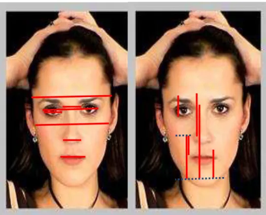 Figura 2.11 –Relações horizontais e relações verticais na face 