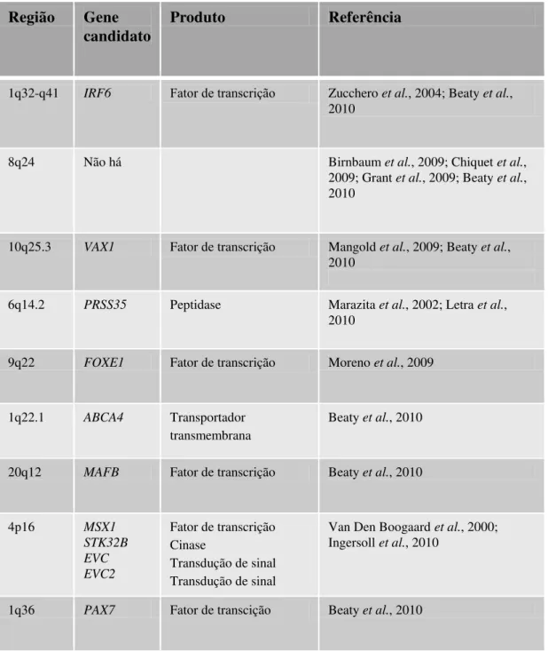 Tabela III - Loci recentemente associados com FL±Ps NS em estudos de varredura genômica,  genes candidatos e suas funções