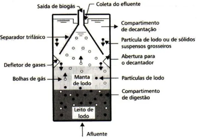 Figura 3 – Esquema de Funcionamento de um Reator UASB – Adaptado de Chernicaro  et al (1999).