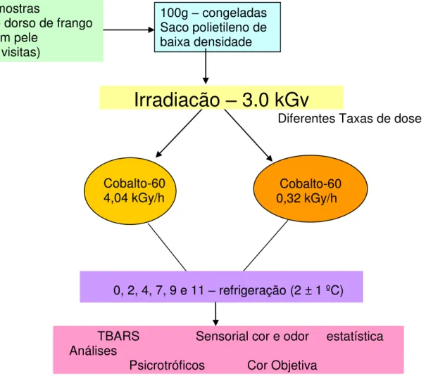 Figura 4 - Planejamento experimental da irradiação de Carne Mecanicamente Separada de  Frango com diferentes taxas de dose