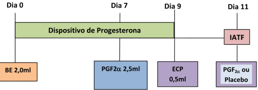 Tabela 1: Efeito do tratamento com PGF2 α no momento da IATF  sobre a taxa de concepção  de vacas de corte mestiças