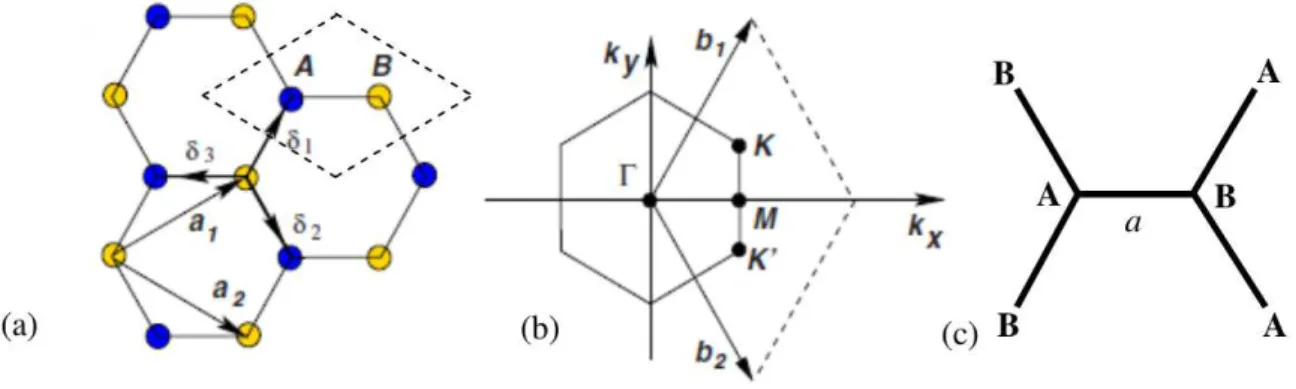 Figura 9 – Rede cristalina do grafeno com duas redes triangulares. Onde a ~ 1 e a ~ 2 são vetores primitivos da rede do material e δ ~ i são os vetores dos vizinhos mais próximos