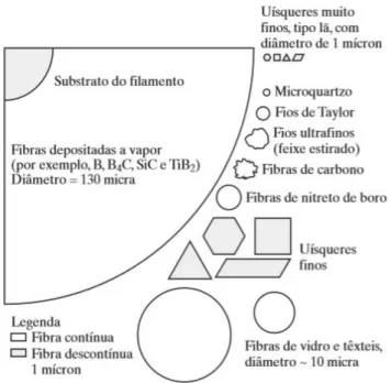 Figura 14  ‒  Formato e área relativa da seção transversal de algumas fibras. 