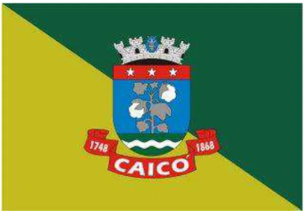 Figura 7 - Bandeira da Cidade de Caicó. Fonte: Prefeitura de Caicó 