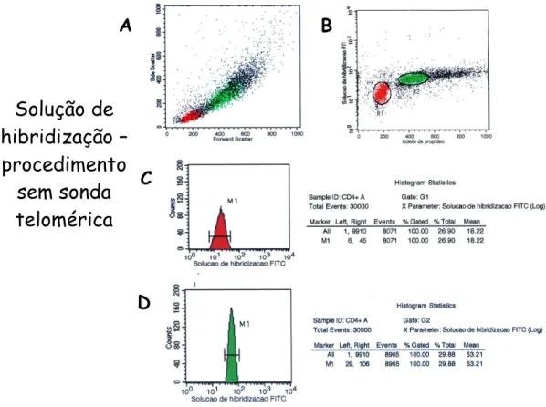 Figura  13.  Procedimento  com  solução  de  hibridização  sem  sonda  telomérica. 