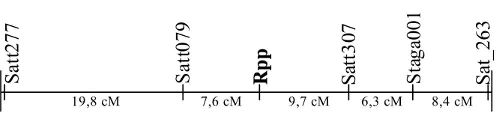 Figura 1. Representação gráfica parcial do grupo de ligação C2 da  soja, indicando o posicionamento do gene de resistência à  ferrugem (Rpp) em relação aos marcadores SSR  identificados