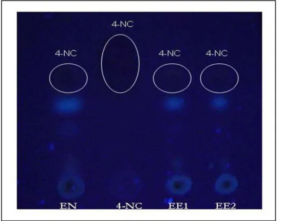 Figura 37 ‐ CCD das amostras EN ‐  extrato de raiz de P. umbellata solubilizado em etanol Lichrosolv; 