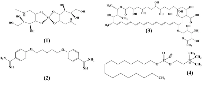 Figura 14- Fármacos mais utilizados no tratamento da Leishmaniose Visceral: (1) Glucantime®,  (2) Pentamidina, (3) Anfontericina B e (4) Miltefosina