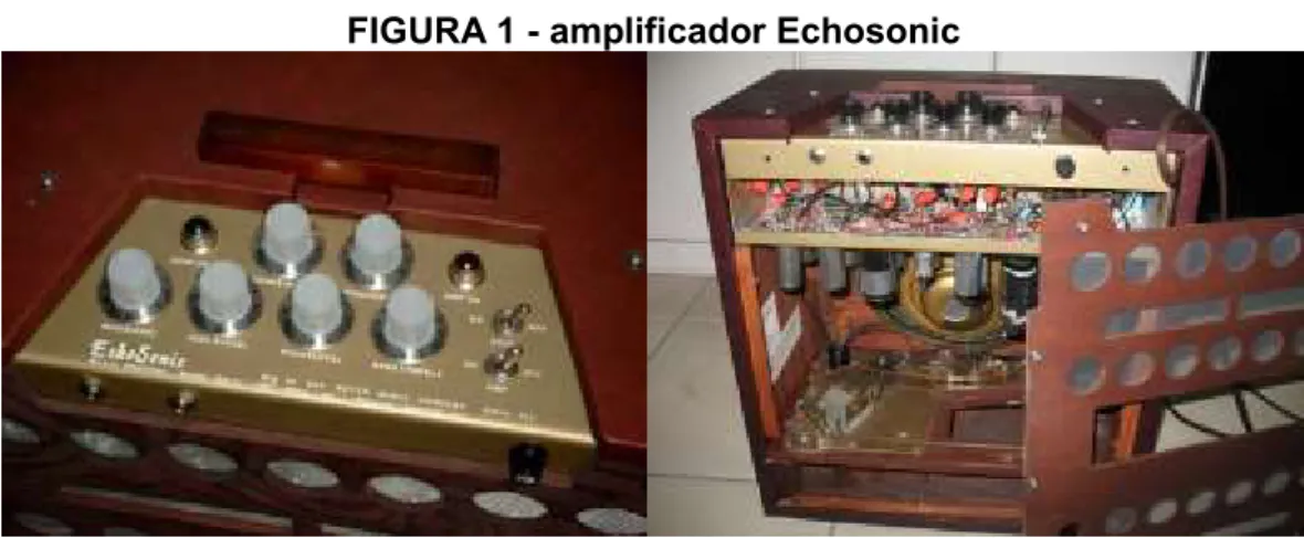 FIGURA 1 - amplificador Echosonic 
