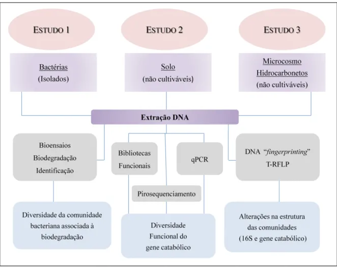 Figura 1.7 - Fluxograma dos estudos realizados no presente trabalho de acordo com as metodologias  empregadas 