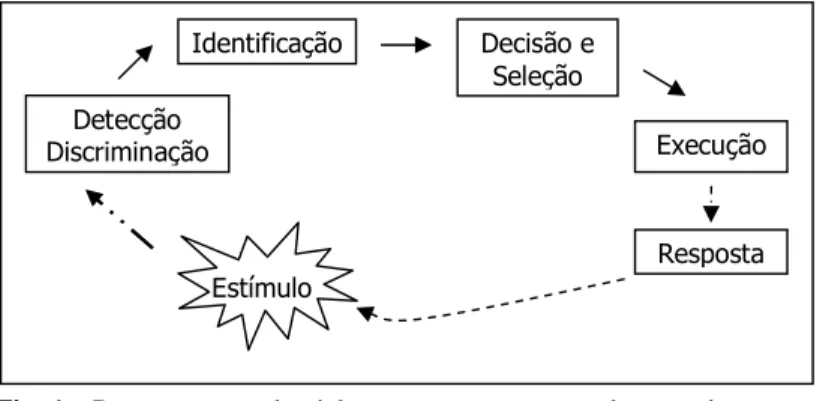 Fig. 1:   Representação do ciclo percepção – ação e algumas das etapas  envolvidas  desde a  detecção  de  um estímulo até  a  emissão  de  uma resposta a ele