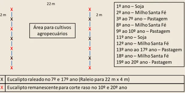 Figura 5: Modelo esquemático de Integração Lavoura Pecuária Floresta adotado na projeção.