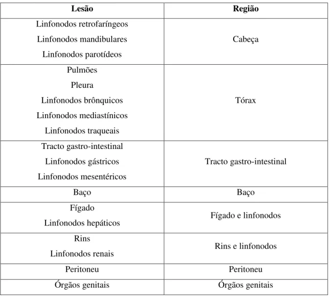 Tabela 2  –  Região atribuída a cada localização de lesão. 