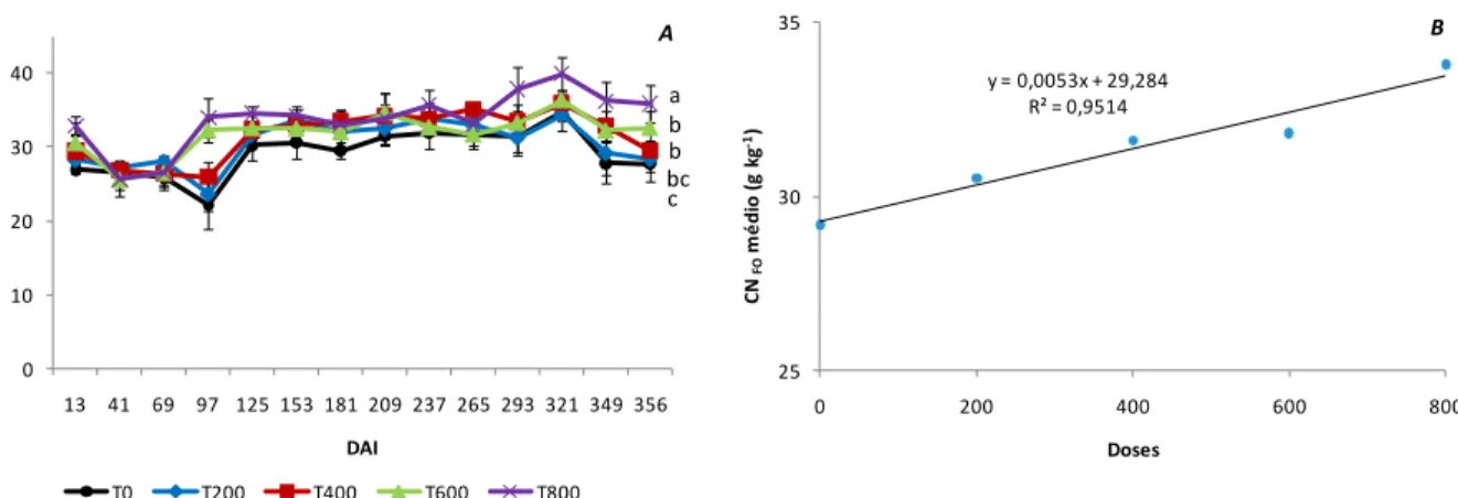 Figura 2.3  –  A. Evolução da concentração de nitrogênio em folhas (CN FO ) de cafeeiros  fertirrigados com diferentes doses de nitrogênio na forma de ureia marcada  de 13 a 356 dias após o início (DAI); curvas seguidas da mesma letra não  diferem  entre  