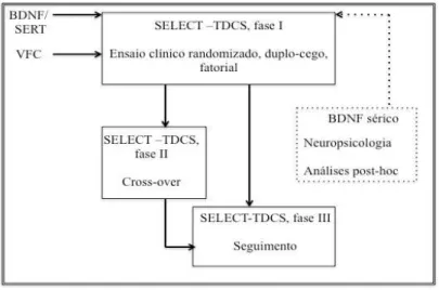 Figura 1. Desenho do estudo SELECT-TDCS, base metodológica desta tese.
