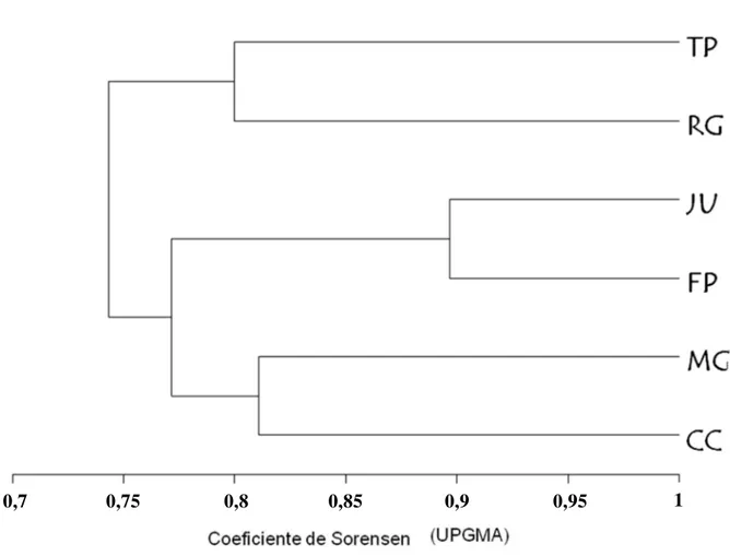 Figura 4 - Dendrograma resultante da análise de agrupamento das seis paisagens amostradas no Planalto Atlântico  de São  Paulo  (TP,  JU,  CC,  MG,  RG  e  FP)  com  base  na  composição  de  espécies  de  anuros  de  serapilheira