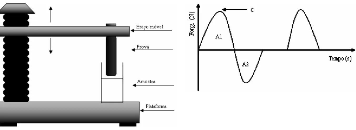 Figura 4. Analisador de textura TA-XTplus e curva típica de análise do perfil de textura  (APT): (C) dureza,  (A1) compressibilidade e (A2) adesividade