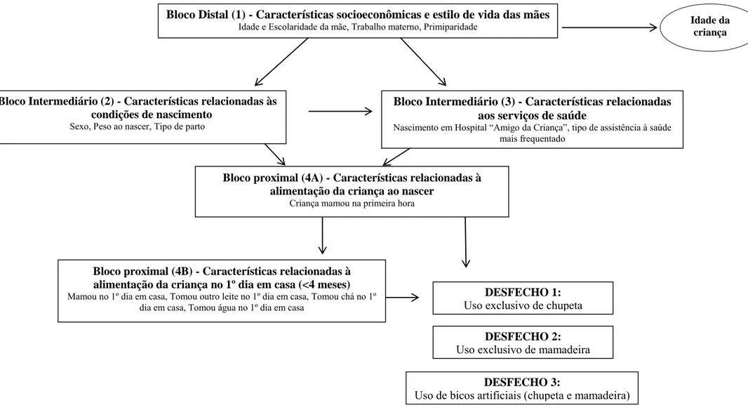 Figura 1. Modelo teórico hierarquizado para determinação dos fatores associados ao uso dos bicos artificiais nas capitais brasileiras e DF