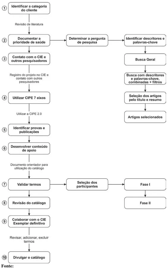 Figura 2 -  Esquema da sequência de etapas e procedimentos realizados. 