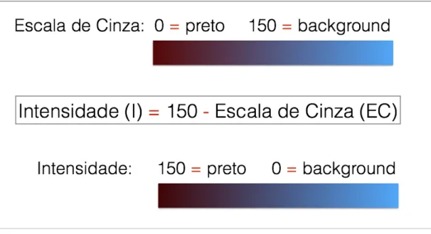 Figura 8 – Fórmula para transformação de escala de cinza em intensidade de marcação. 