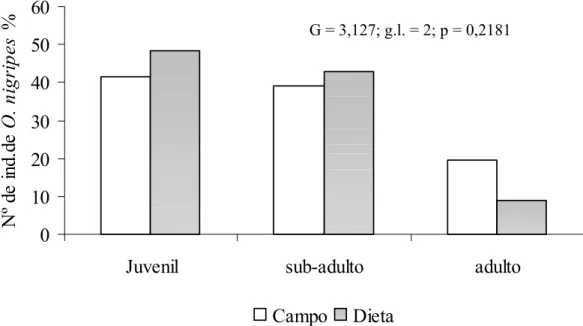 Figura 14. Porcentagem do número de indivíduos de O. nigripes em cada faixa etária na dieta (n =  124) da suindara e no ambiente (n = 41)