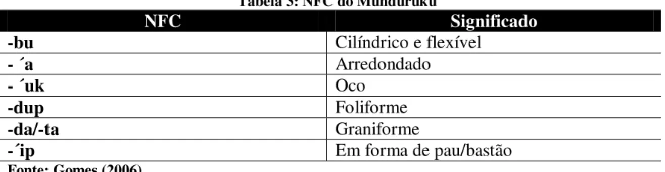 Tabela 3: NFC do Munduruku 