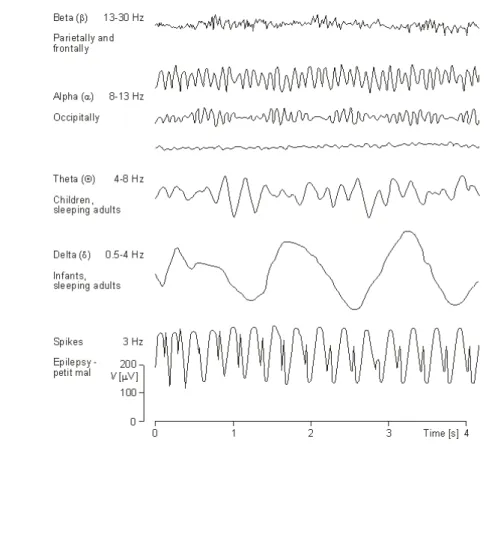 Figura 1.3: ilustrações dos ritmos de ondas EEG