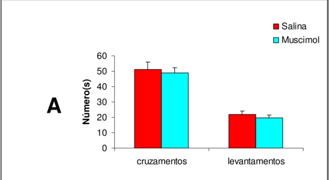 Figura 5 – Efeito do muscimol intra-NDR sobre o comportamento locomotor  na Arena. Barras representam média ± EPM para 8 ratos para o grupo  controle e 9 ratos para o grupo tratado com muscimol