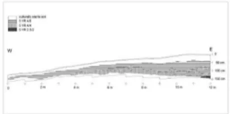 Figure 10 - El Círculo, profile of  the trench  excavated in 2003.