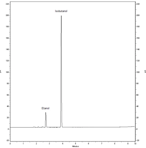 Figura 4 - Perfil cromatográfico da análise de etanol em amostra de urina do voluntário n° 7  após 30 min da ingestão da bebida