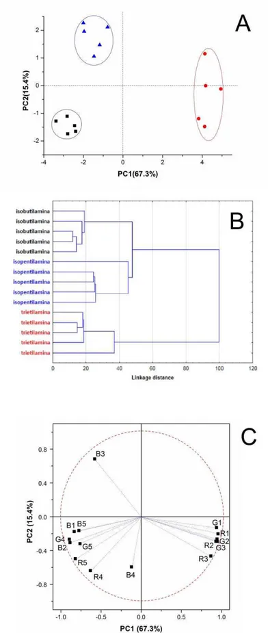 Figura  3.11:  (A)  Gráfico  de  escores obtido a partir dos valores  de RGB extraídos das membranas  coloridas  com  5  indicadores  de  pH  em  contato  com  3  diferentes  aminas  (   –  isobutilamina;    –  trietilamina e   – isopentilamina)   na conce