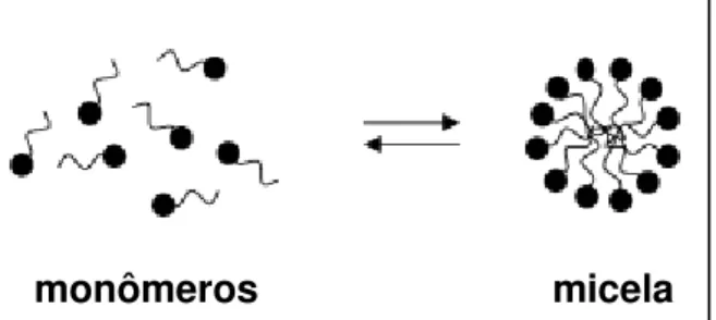 Figura 4 - Equilíbrio entre monômeros e formação da micela. 