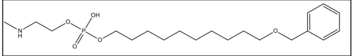 Figura 6 - Figura dos análogos benzil alquil éter da erufosina planejados. 