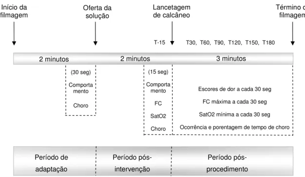 Figura  1  –  Representação  esquemática  dos  procedimentos  da  coleta  de  dados, São Paulo, 2010  