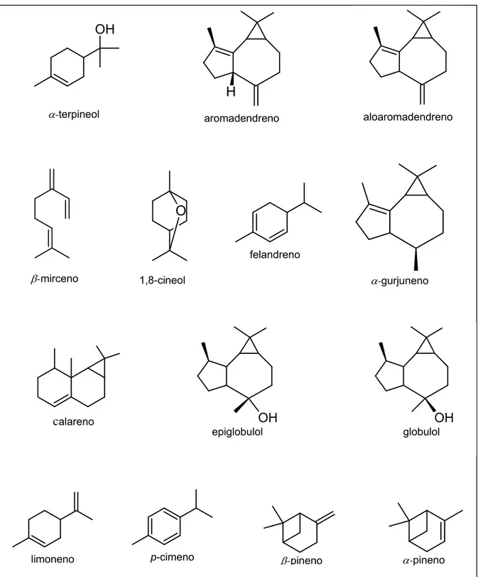Figura 03- Estruturas químicas dos principais metabólitos identificados no extrato  hexânico de E