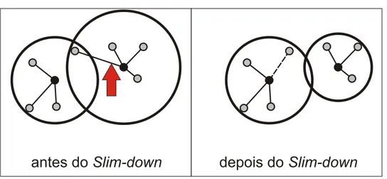 Figura 3.5: Exemplos de otimiza¸c˜ao realizada pelo m´etodo Slim-down.