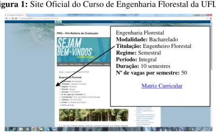 Figura 1: Site Oficial do Curso de Engenharia Florestal da UFLA 