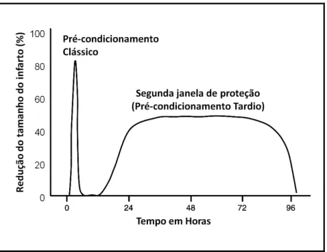 Figura 1.  Representação  esquemática  demonstrando  a  natureza  temporal  das  duas  janelas do precondicionamento (adaptado de Yellon e Downey, 2003)