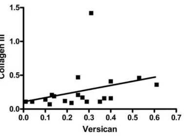Figure 2. Positive correlation between versican and collagen type III density (r = 0.57,  p=0.010) in adult lamina propria vocal folds
