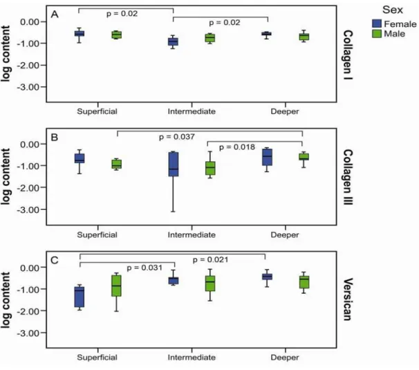 Figure 3. Distribution of collagen type I, type III and versican in lamina propria vocal  fold of male and females