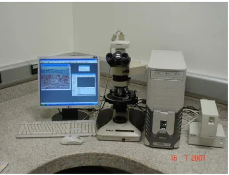 Figura 2. Analisador digital de imagens composto por microscópio óptico equipado com  câmera de vídeo acoplado a um monitor e a computador com programa de análise digital de  imagens