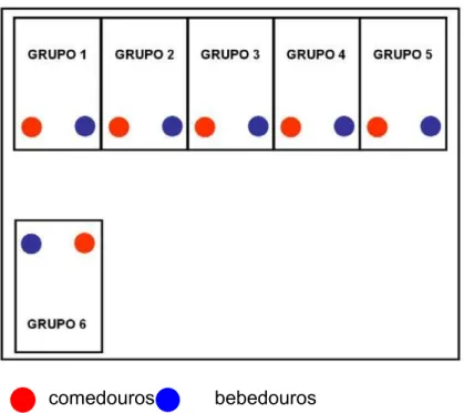 Figura 2 -  Disposição dos grupos de aves mantidas no CEPA (Centro Experimental de  Patologia Aviaria) 